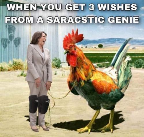 FB_IMG_1666977562844