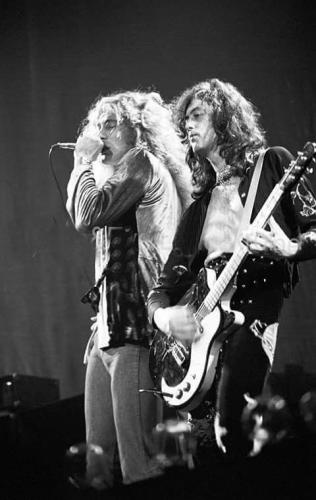 ac5b8c75a6cb00561ff6ac47f7807a81