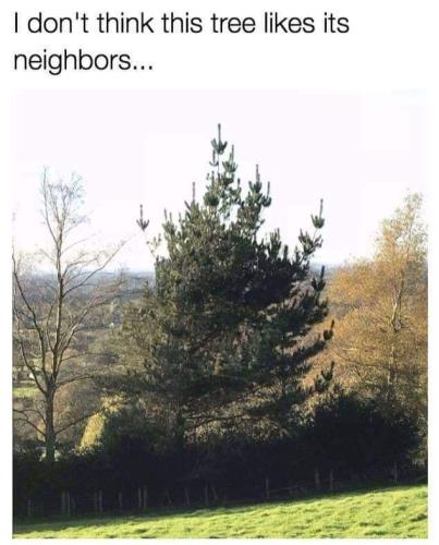 FB_IMG_1664979557568