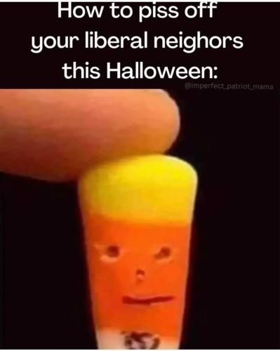 FB_IMG_1665157453568