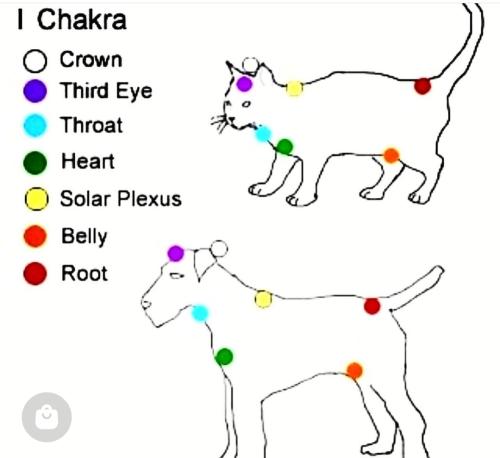 Screenshot_2022-10-26-13-19-15-00_1c337646f29875672b5a61192b9010f9