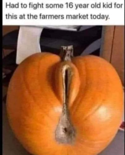 FB_IMG_1665331131427