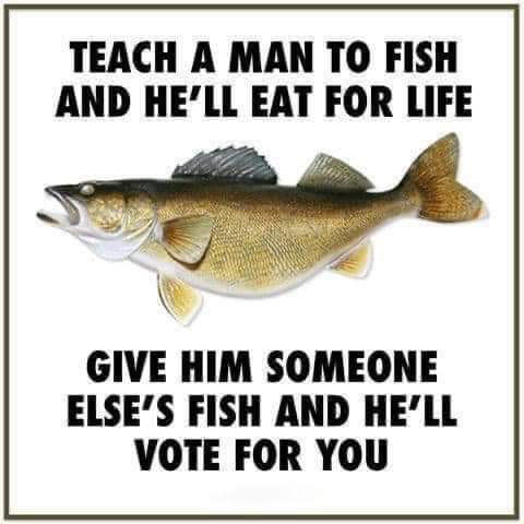 FB_IMG_1665080573153