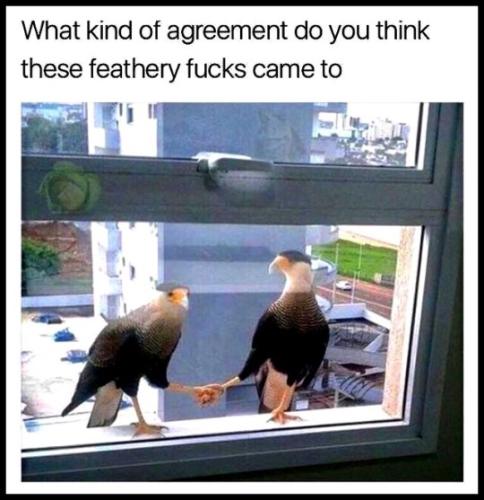 tumblr_18b6b507c626207f6f7aaf564d322811_a8de9f1d_540