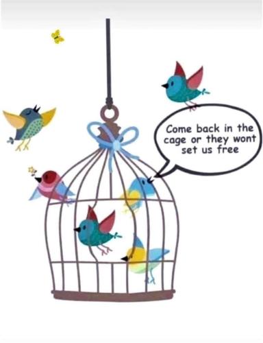 FB_IMG_1665959381721