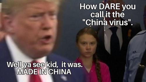 Greta Thunberg Stares at Donald Trump 04112020081031