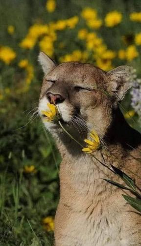 312131989_8548750745142791_6597901129756464875_n