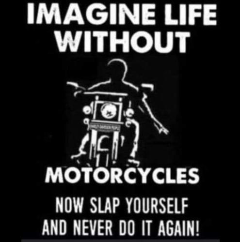 FB_IMG_1666618680797