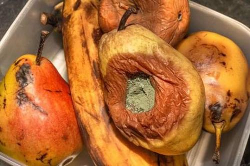 FB_IMG_1665149601046