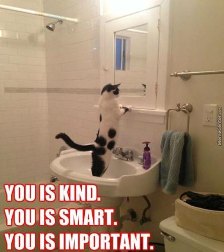 12118812_1138846599477841_232134568211840980_n