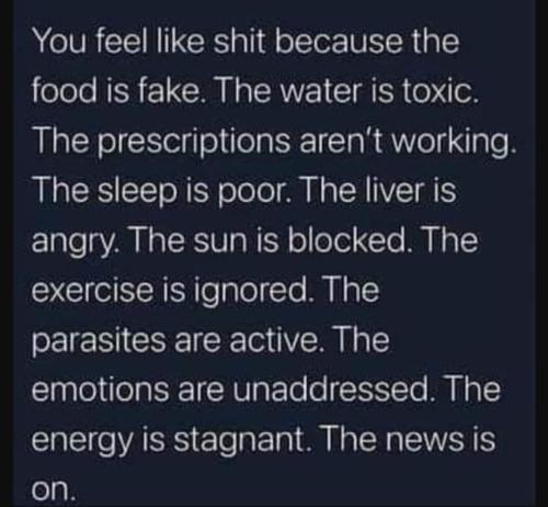 FB_IMG_1666566654683