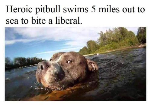 FB_IMG_1664864198254