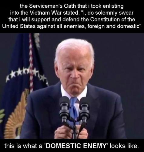 domestic enemy00