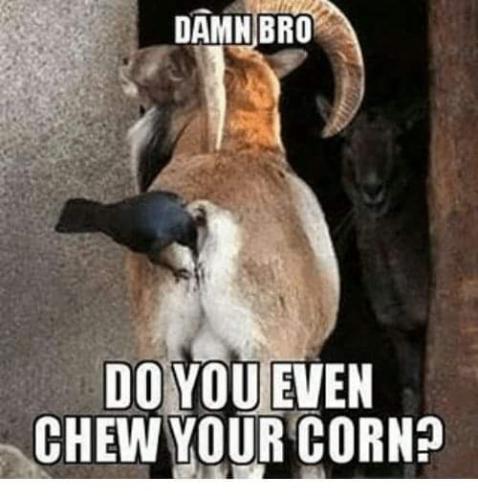 FB_IMG_1665424329632