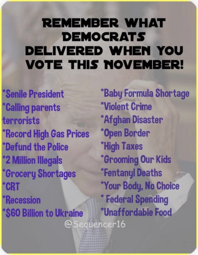 Dems Dont Vote For them