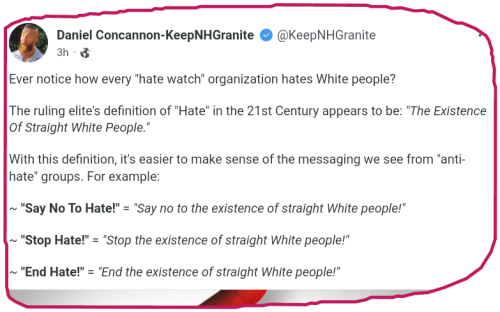 snapshot_gab.com_1665413300503