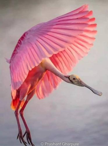 tumblr_3ea8052e27dd1c28f25965537c5894d5_9c49ead3_540