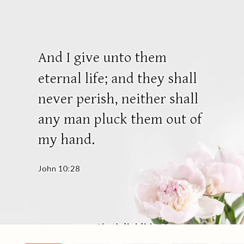 dailybible_20221030-210515_John_10-28