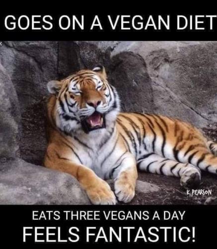 FB_IMG_1665059086598