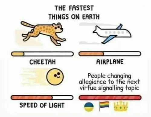 IMG_20221009_222844_793