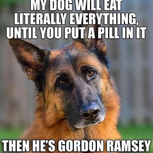 FB_IMG_1666967349345