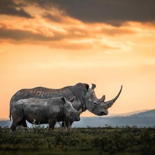 tumblr_659f1b8722a76513d3b715076d5f789e_81931507_540