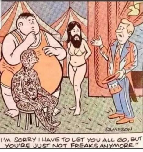 FB_IMG_1665067641233