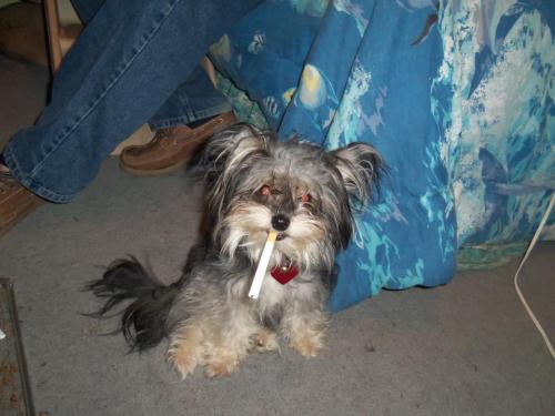 432366_164937863622644_80692860_n[2]