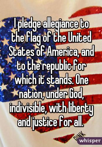 pledge to flag 9