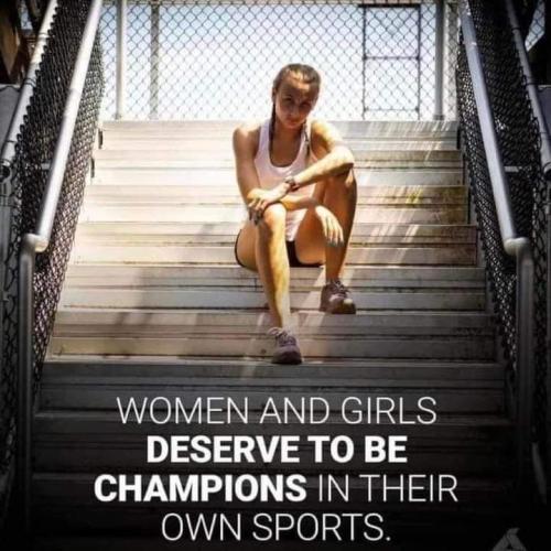 FB_IMG_1666479350251