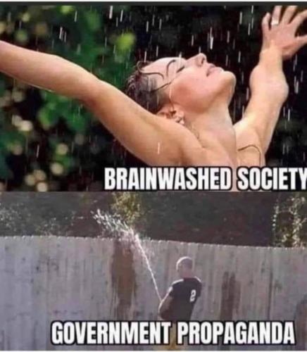 xephula_3e3e92a90e7ccc266884cb4b057e4d47