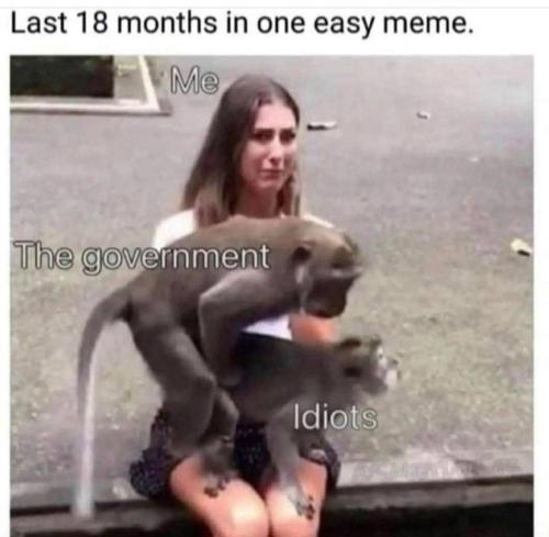 photo_2022-10-29_08-05-50