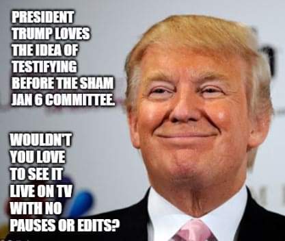 FB_IMG_1665786589487