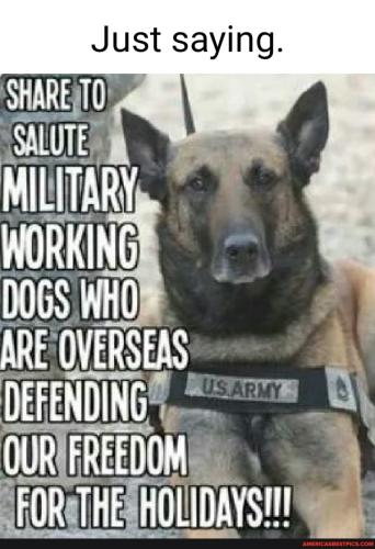 bcdd64dbad6c4c197a53878c8211afd4bb5a92001d590a1caa1a875482db2dfd_1