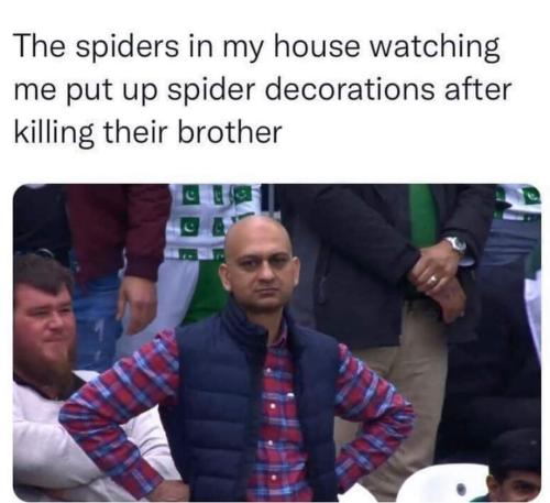 FB_IMG_1666116320277