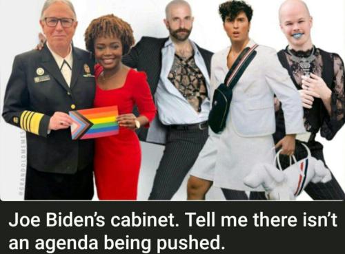 biden cabinet c