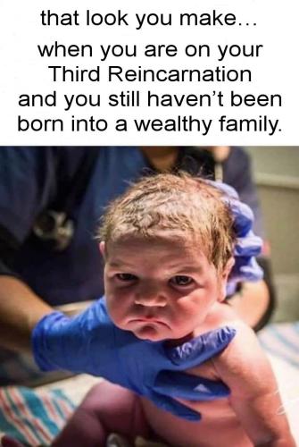when you are on your third reincarnation