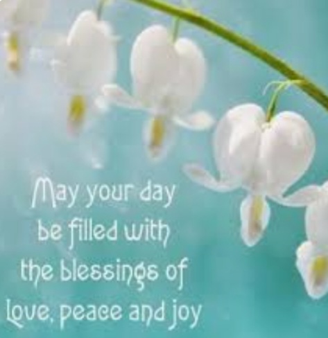 Screenshot_20221001-120422_Google