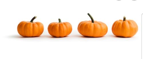 Screenshot_20221001-150436_Google