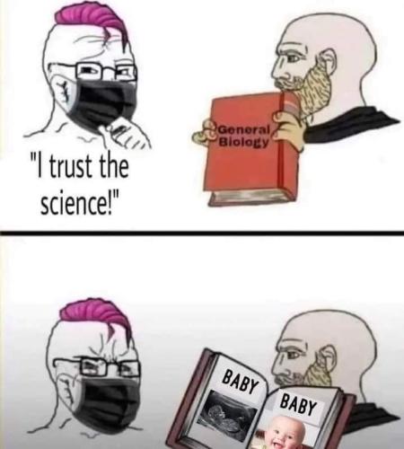 FB_IMG_1665542233730