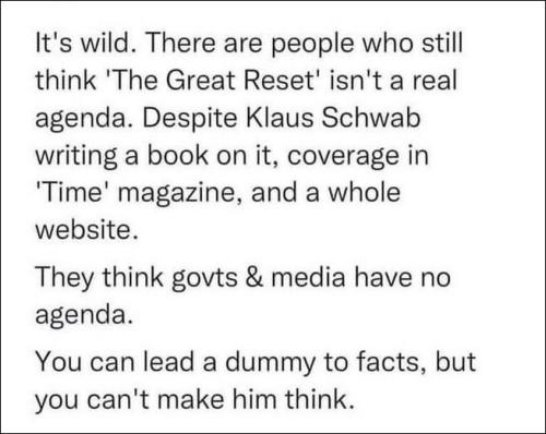 the great reset06