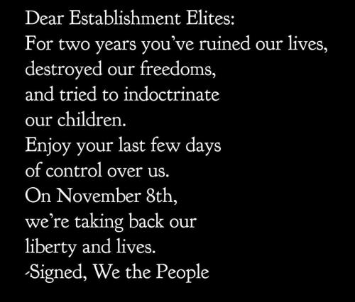 8c611e05-d008-4dc6-8db4-8355042a1047