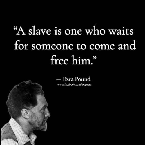 310622381_445213944343544_1620248000660683158_n