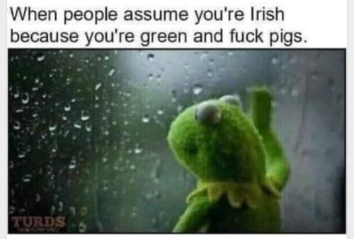 FB_IMG_1664901641369