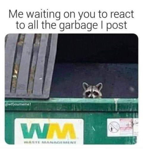 FB_IMG_1666295651075