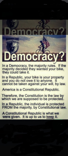 xephula_a40055ef0b5d4974a56a06345db924af