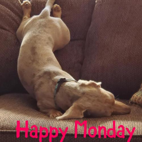 311569604_480382654124974_81607469108110921_n