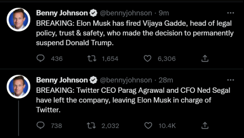 Musk 1