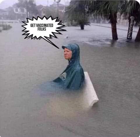 FB_IMG_1664768725884