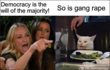 democracy is the will of the majority